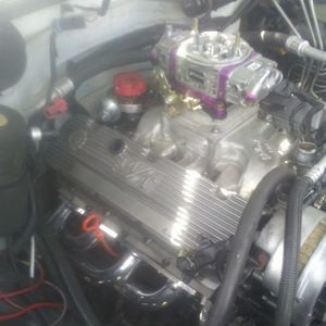 Meet your Posher, Dannel